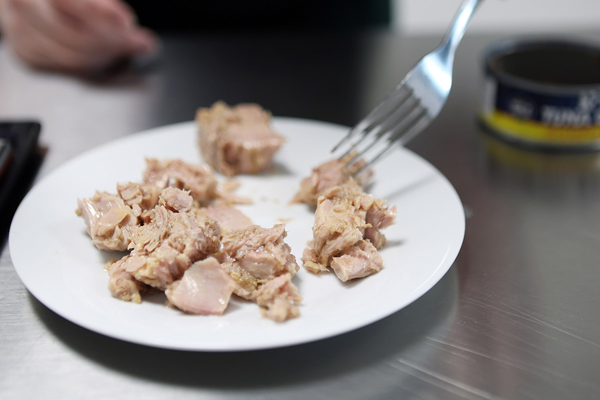 tuna-on-plate-1200×800